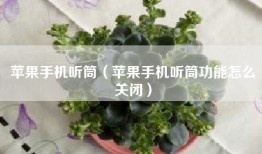 苹果手机听筒（苹果手机听筒功能怎么关闭）