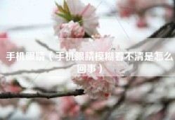 手机眼睛（手机眼睛模糊看不清是怎么回事）