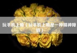 玩手机上瘾（玩手机上瘾是一种精神障碍）