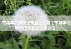 苹果手机聊天记录怎么恢复（苹果手机聊天记录怎么恢复微信）