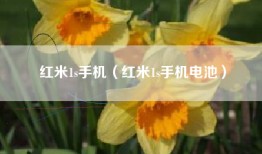 红米1s手机（红米1s手机电池）