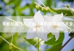 手机拍摄技巧大全（手机拍摄技巧大全视频）