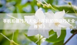 手机拍摄技巧大全（手机拍摄技巧大全视频）