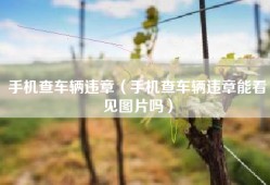 手机查车辆违章（手机查车辆违章能看见图片吗）