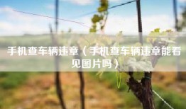 手机查车辆违章（手机查车辆违章能看见图片吗）