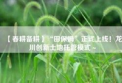 【春耕备耕】“田保姆”正式上线！龙川创新土地托管模式～