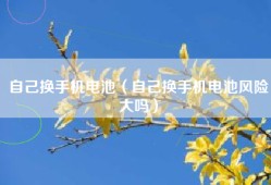 自己换手机电池（自己换手机电池风险大吗）