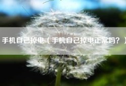 手机自己掉电（手机自己掉电正常吗？）