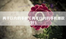 两千以内的手机（两千以内的手机哪款好）
