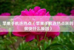 苹果手机连热点（苹果手机连热点耗的很快什么原因）