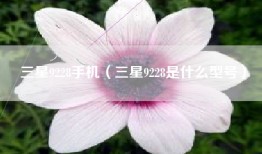 三星9228手机（三星9228是什么型号）