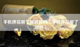 手机摔花屏了能修好吗（手机摔花屏了咋办）
