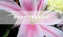 骑士手机（骑士手机卡）