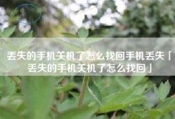 丢失的手机关机了怎么找回手机丢失「丢失的手机关机了怎么找回」