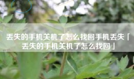 丢失的手机关机了怎么找回手机丢失「丢失的手机关机了怎么找回」