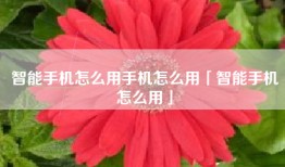 智能手机怎么用手机怎么用「智能手机怎么用」