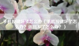 手机按键坏了怎么办（手机按键坏了怎么办？返回不了怎么办？）