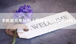 手机能充电玩吗（苹果手机能充电玩吗）
