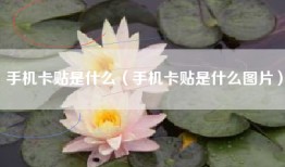 手机卡贴是什么（手机卡贴是什么图片）