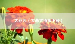 大悲咒（大悲咒原版下载）