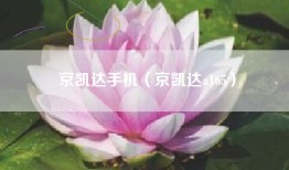 京凯达手机（京凯达a165）