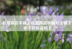 应用商店手机（应用商店手机号注销了收不到验证码）