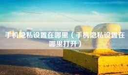 手机隐私设置在哪里（手机隐私设置在哪里打开）