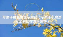苹果手机息屏显示时间（苹果手机息屏显示时间在哪里调整）