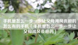 手机是怎么一步一步让父母闻风丧胆的怎么有的手机「手机是怎么一步一步让父母闻风丧胆的」