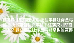 轻薄尺寸配高速快充 这些手机让你鱼与熊掌也能兼得快充手机「轻薄尺寸配高速快充 这些手机让你鱼与熊掌也能兼得」