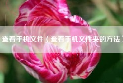 查看手机文件（查看手机文件夹的方法）