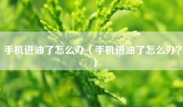 手机进油了怎么办（手机进油了怎么办？）