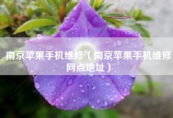 南京苹果手机维修（南京苹果手机维修网点地址）