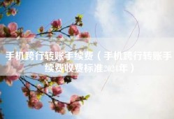 手机跨行转账手续费（手机跨行转账手续费收费标准2024年）