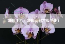 游艇.手机（游艇app官方版下载）
