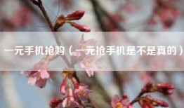 一元手机抢购（一元抢手机是不是真的）