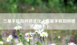 三星手机如何格式化（三星手机如何格式化sd卡）