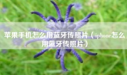 苹果手机怎么用蓝牙传照片（iphone怎么用蓝牙传照片）