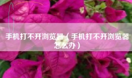 手机打不开浏览器（手机打不开浏览器怎么办）