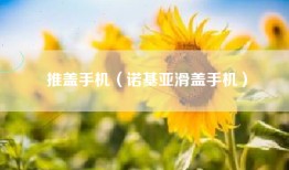 推盖手机（诺基亚滑盖手机）