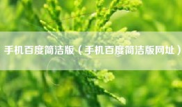 手机百度简洁版（手机百度简洁版网址）