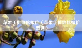 苹果手机维修报价（苹果手机维修报价查询）