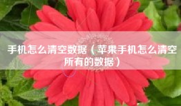 手机怎么清空数据（苹果手机怎么清空所有的数据）