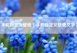 手机自定义壁纸（手机自定义壁纸文字）