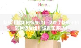 魅族手机如何恢复出厂设置（魅族手机如何恢复出厂设置在哪里）