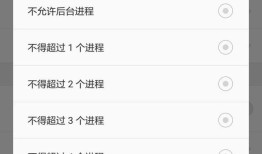 开发者选项有什么用手机动画「开发者选项有什么用」