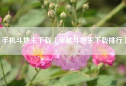手机斗地主下载（手机斗地主下载排行）
