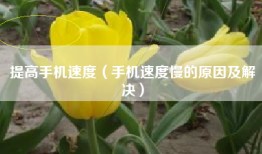 提高手机速度（手机速度慢的原因及解决）