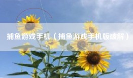 捕鱼游戏手机（捕鱼游戏手机版破解）
