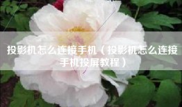 投影机怎么连接手机（投影机怎么连接手机投屏教程）